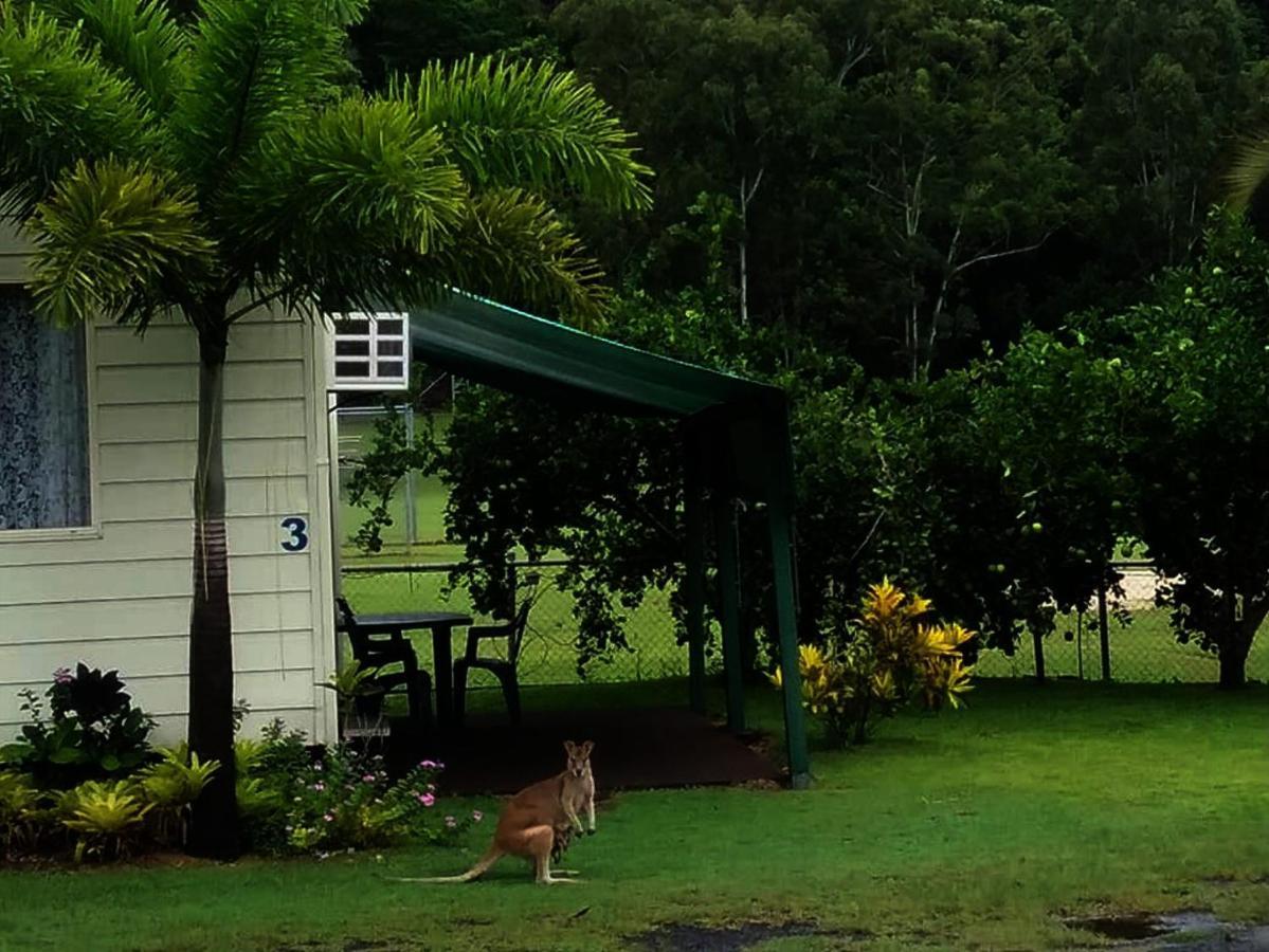 Hotel Flying Fish Point Tourist Park Innisfail Exterior foto